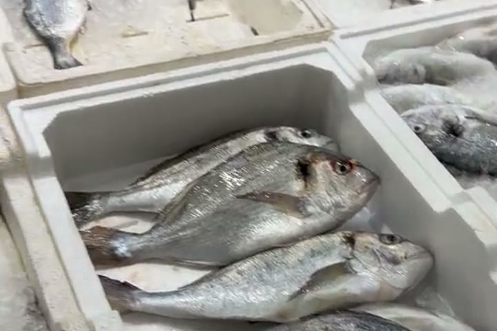 Where to Eat in Saranda: Fish, Taverns &amp; the Promenade